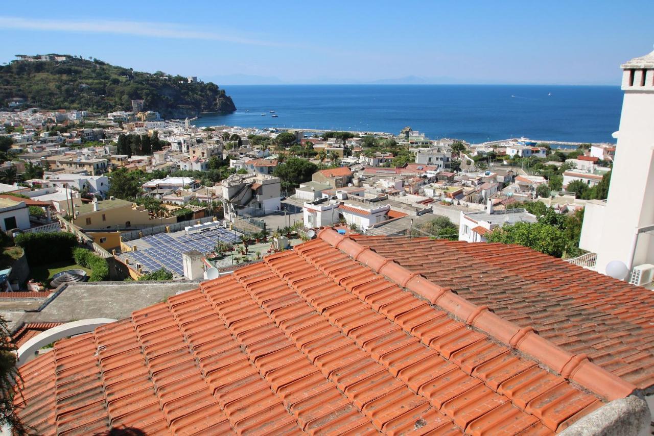 Lacco Terrace Solarium Lacco Ameno  Extérieur photo